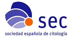 logobig sec